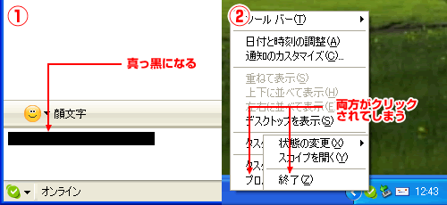 20050204_skype-bug.gif